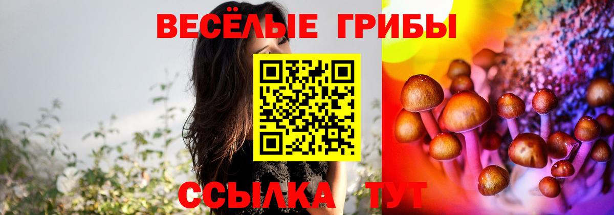 Керчь  Галлюциногенные грибы мицелий  Вход с VPN  Псилоцибиновые грибы Magic Shrooms 